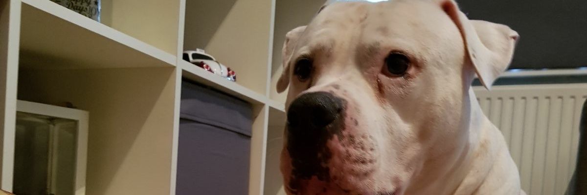 Audreyilse's profile banner image