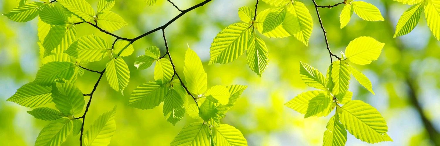 karthikmurale's profile banner image