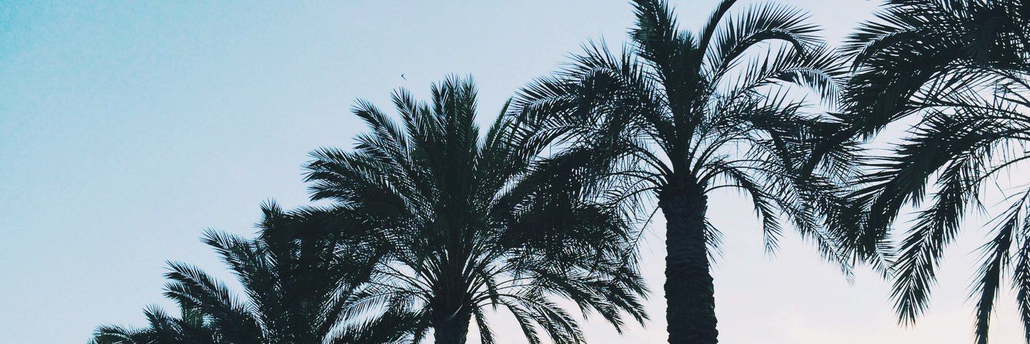nurwanderlust's profile banner image