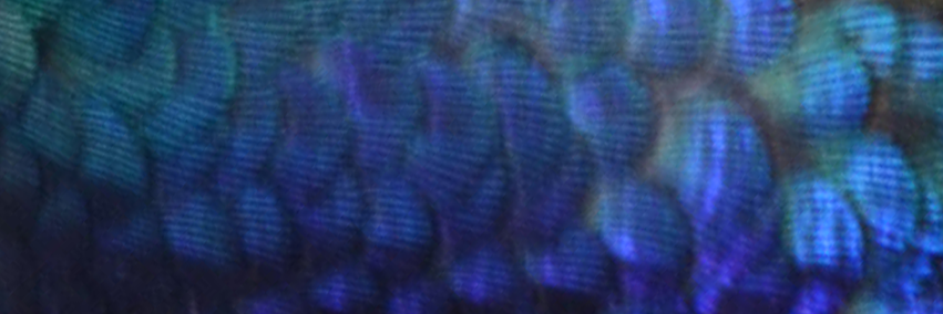 AnnaNaklabOffi's profile banner image