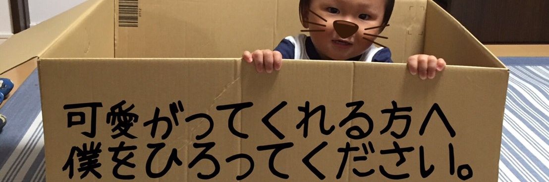 ca4maru's profile banner image