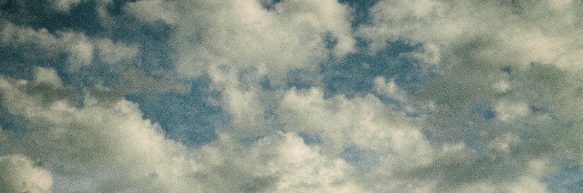 fernandabergami's profile banner image