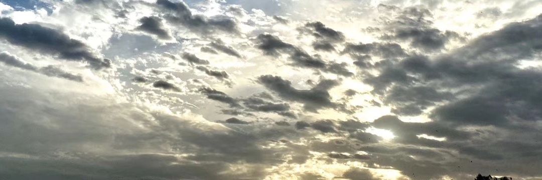 mimiwrites_54's profile banner image