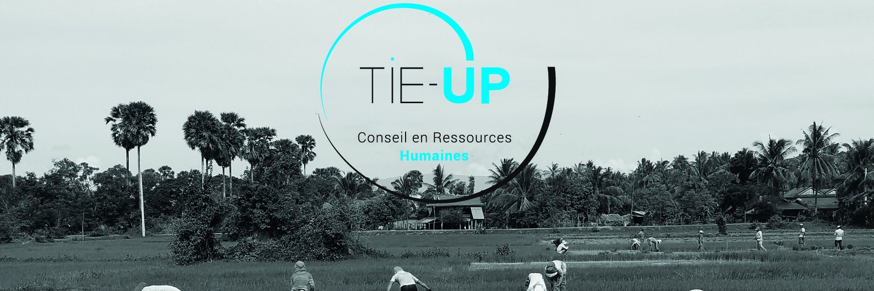 TIE-UP, DRH à temps partagé banner