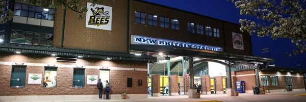 NewBritainBees Profile Banner