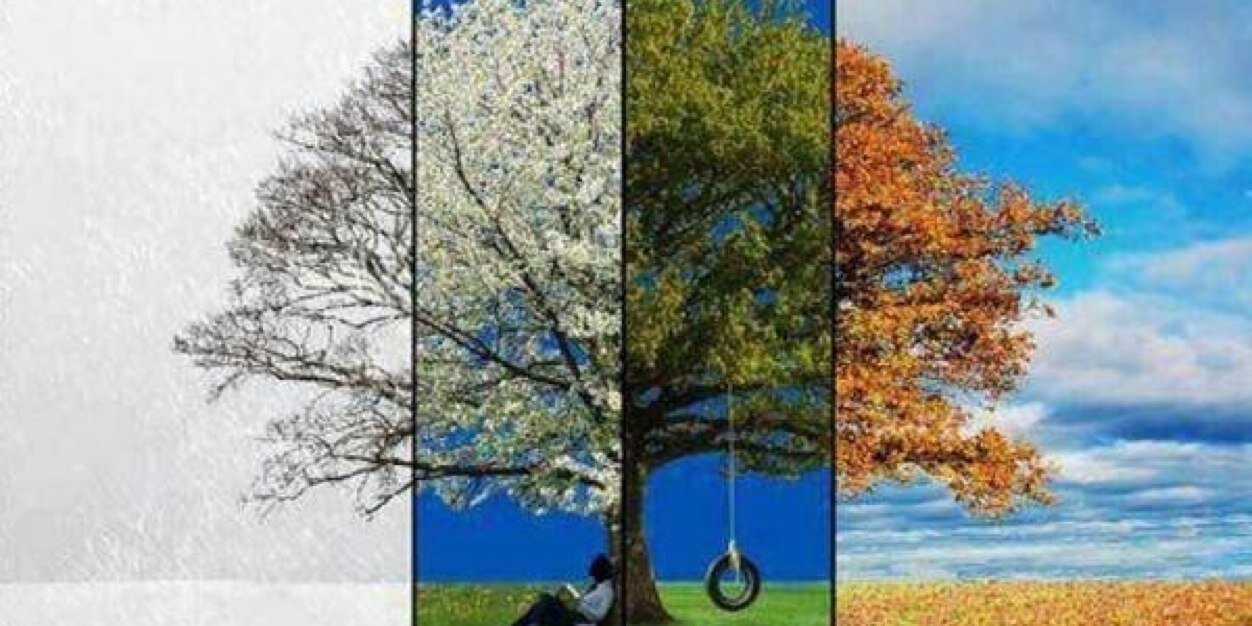 MAJED banner