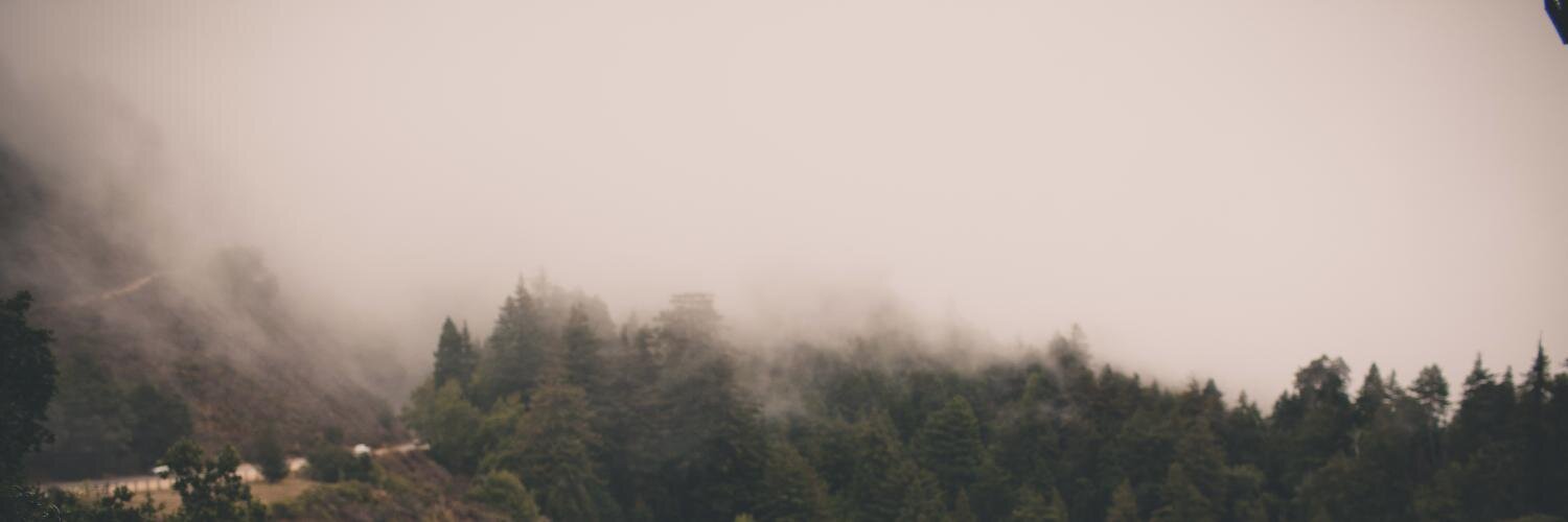 Mark Arena Personal Account banner