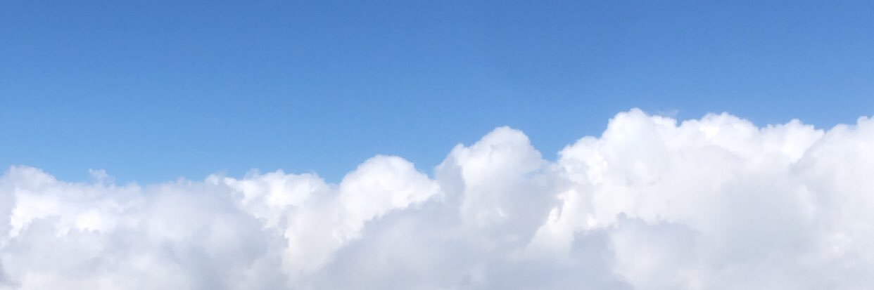 Fifi banner