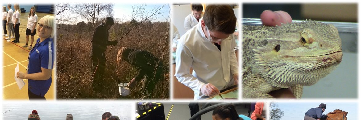 HE at Easton Otley banner