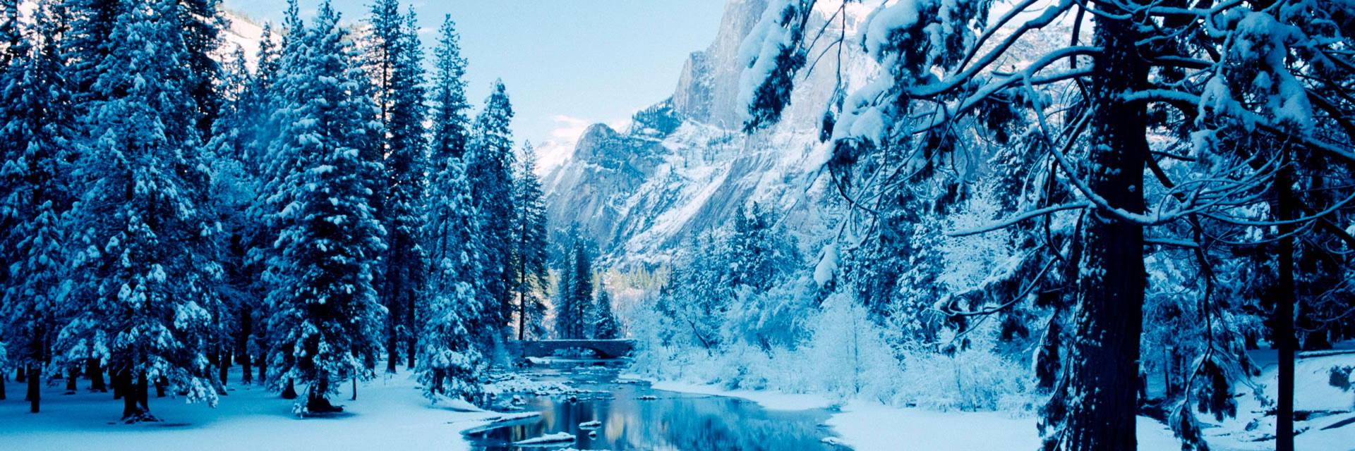 Lucas S (@ASL_LucasS21) / Posts / X