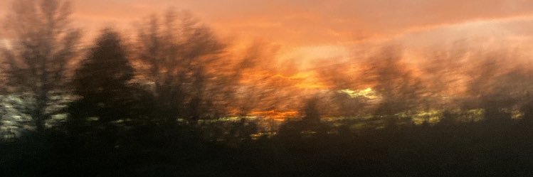 skye_dugan's profile banner image