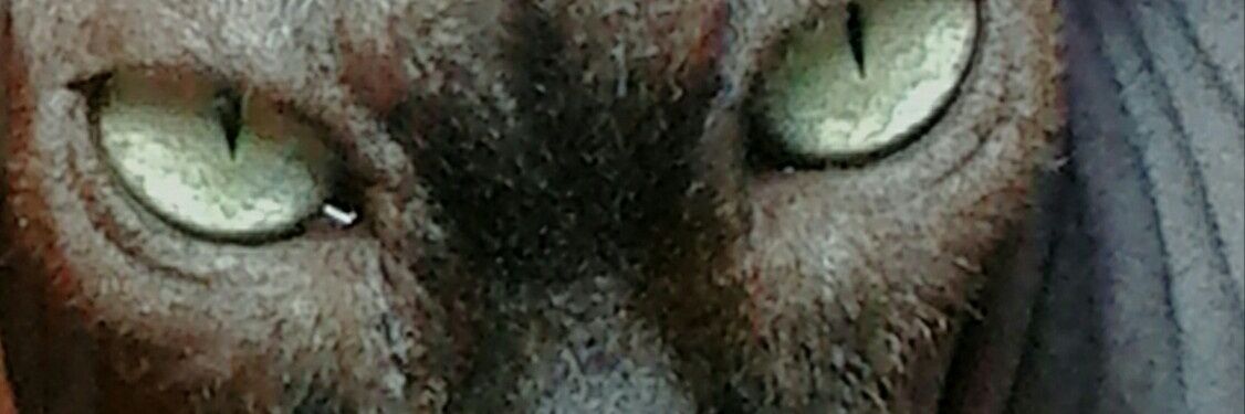 urinissim52's profile banner image