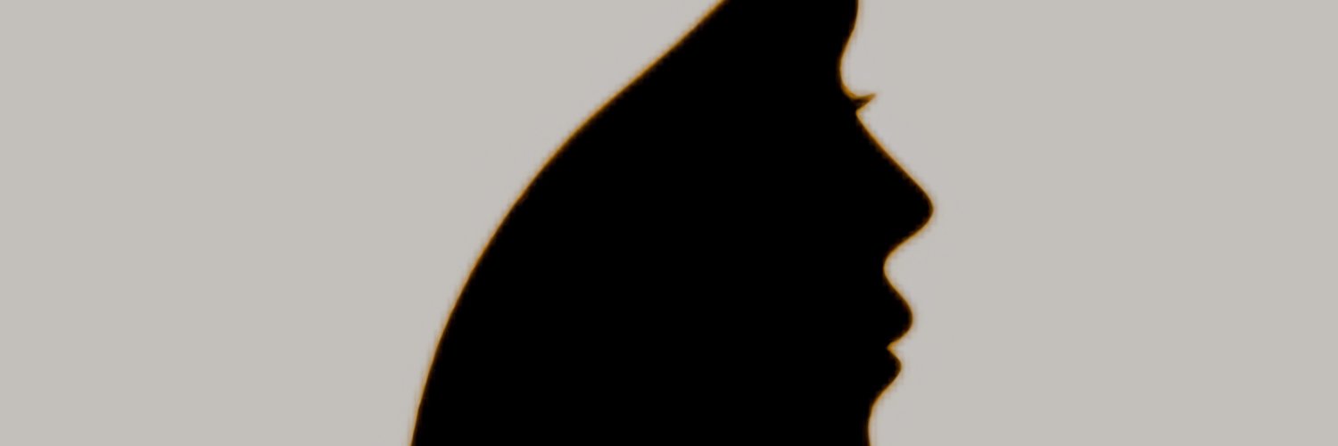 elfmi_'s profile banner image
