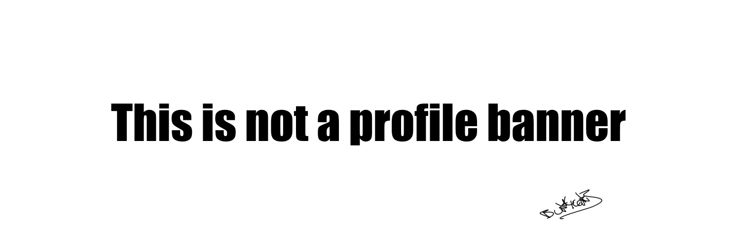 Sir l33tname banner