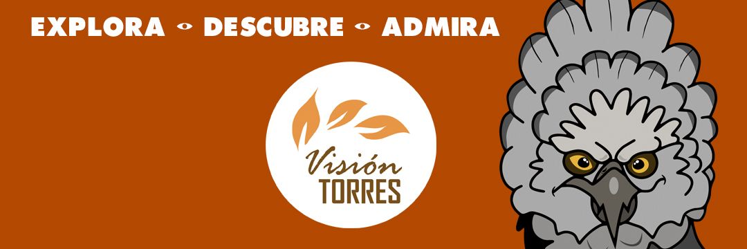 visiontorres2's profile banner image