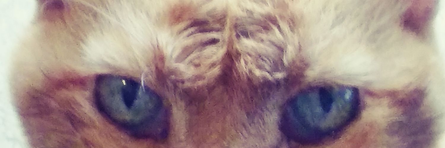 bigjohn6845's profile banner image