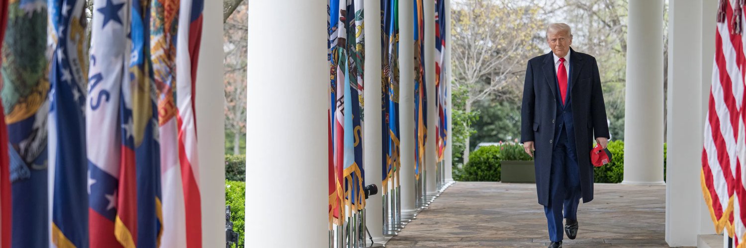 The Daily Trump banner