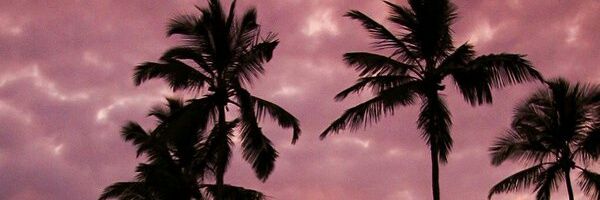 DUHrea's profile banner image