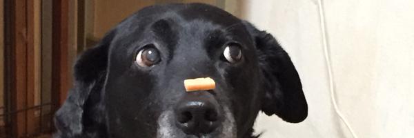 student_neet Profile Banner