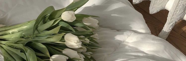 ImS0raya's profile banner image