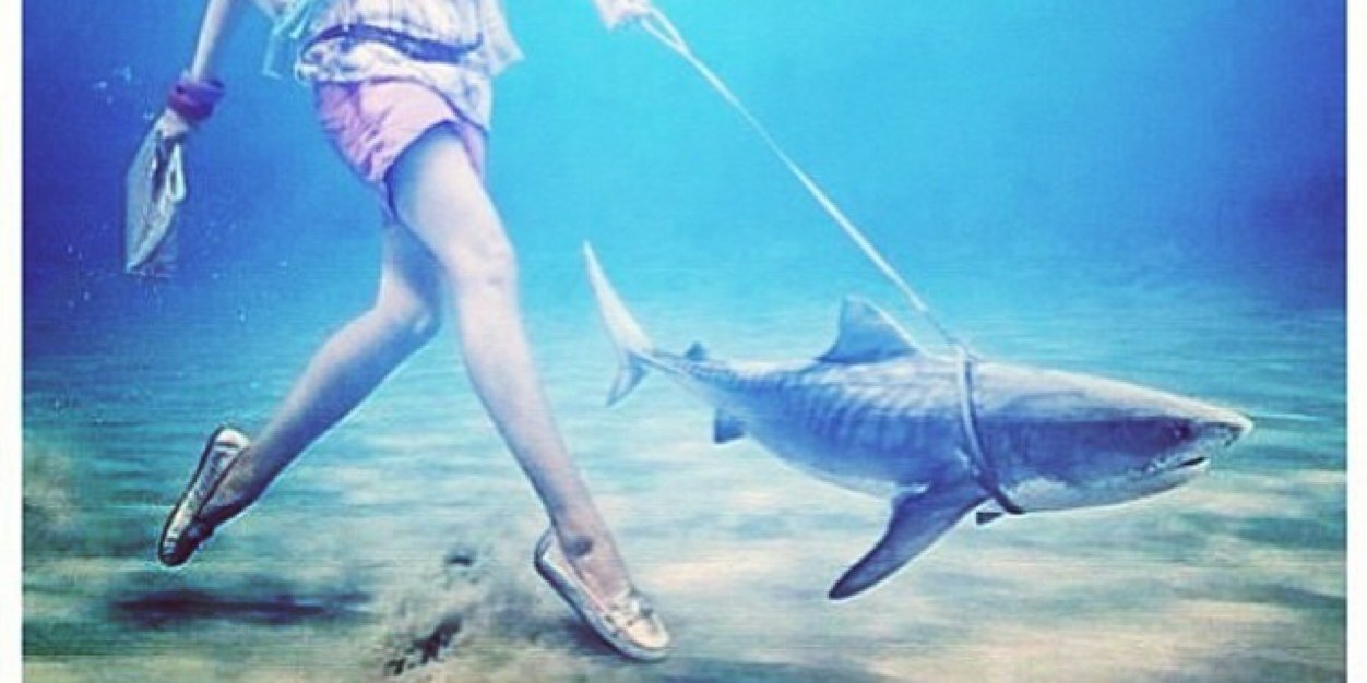 Monica Christine banner