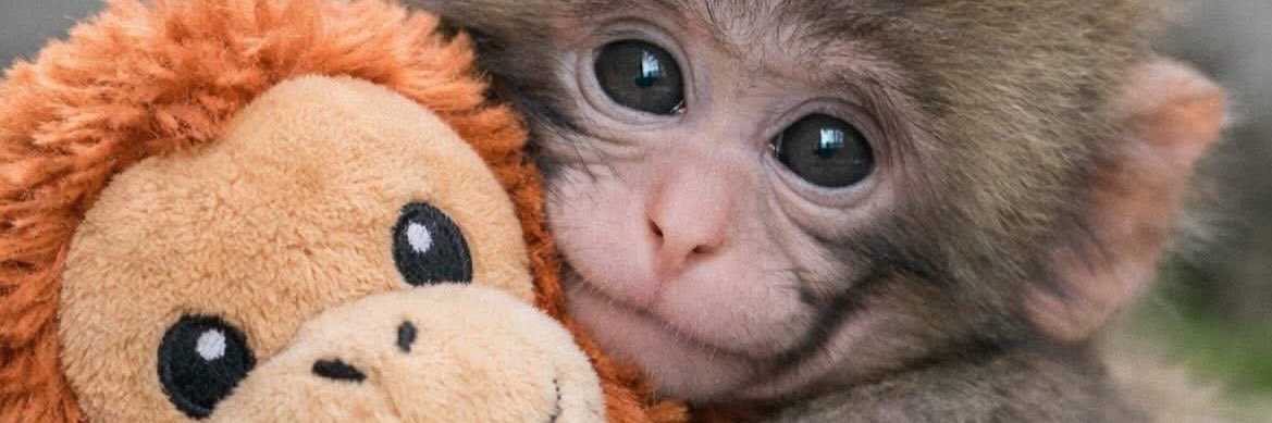 OPGlRL's profile banner image