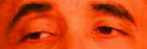 dantethorn11's profile banner image