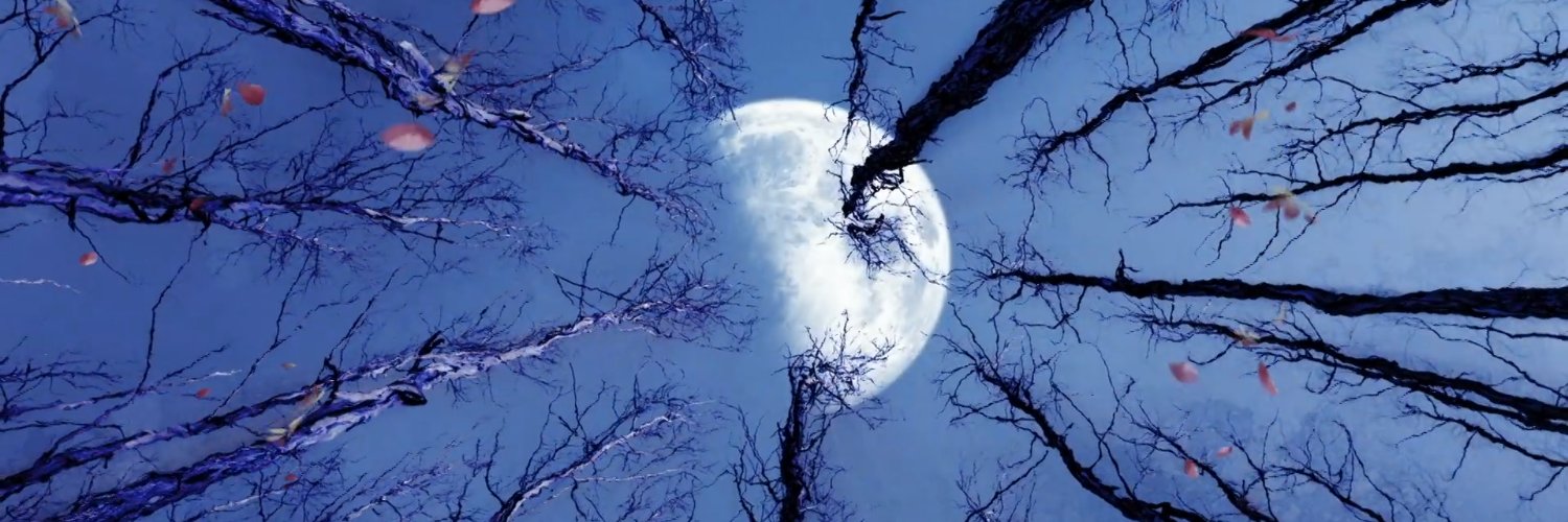 olicityslight's profile banner image
