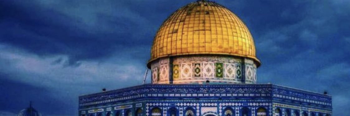 Snowy ❄️🇵🇸McNulty banner