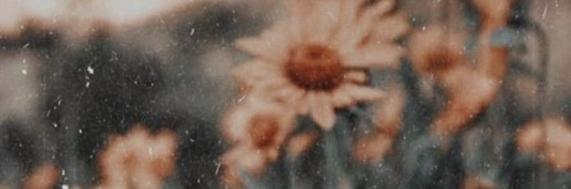 Pauline_Chr1's profile banner image