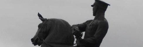 d_maestra's profile banner image