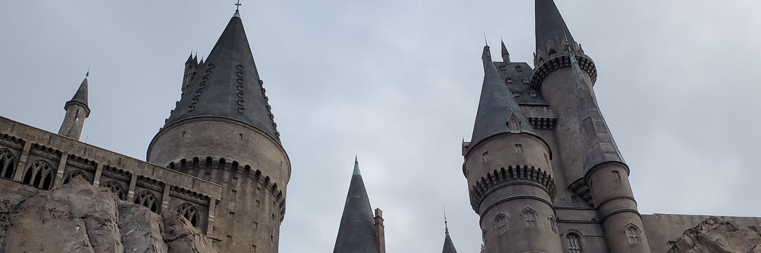 animallyza's profile banner image