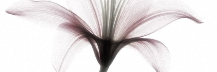 Eca. banner