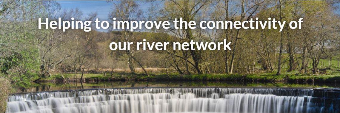 RiverObstacles's profile banner image