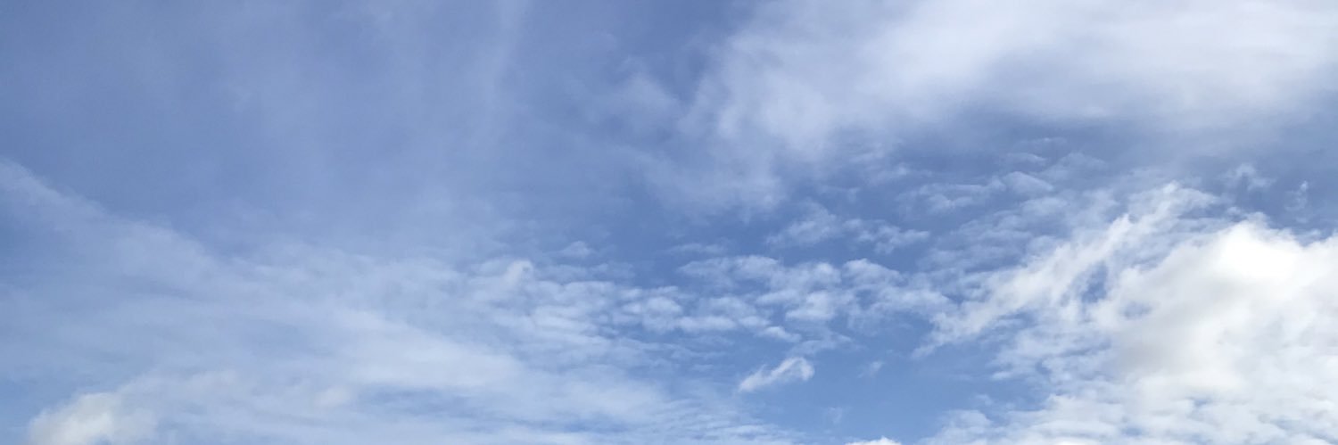maddyrosemills's profile banner image