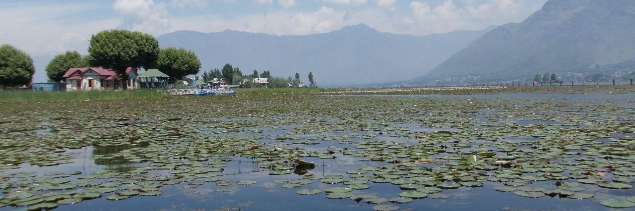 Krishna Pachegaonkar‏‎ banner