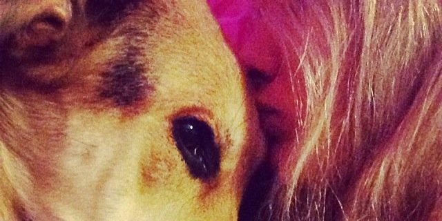 beckystacey321's profile banner image