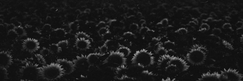 𝔸 ⚡️ 𝕙 banner