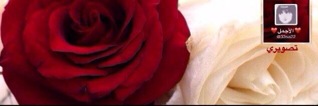 33sa222's profile banner image