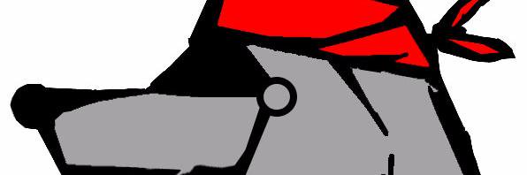 STARoboHuskies's profile banner image