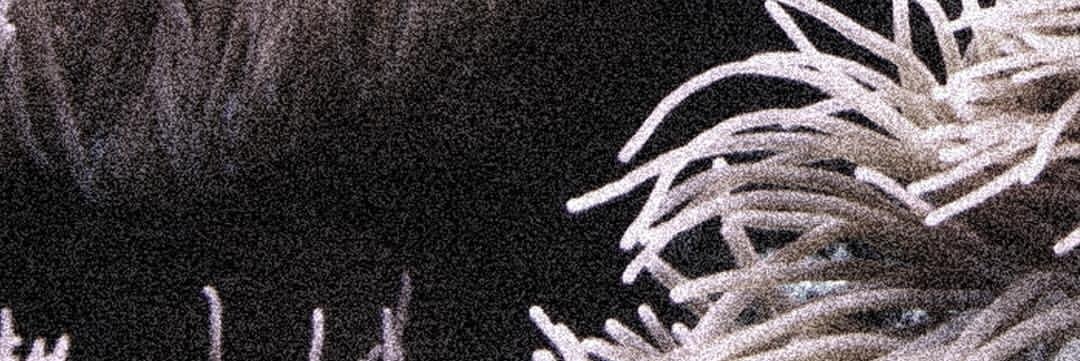 LemaslePierre's profile banner image