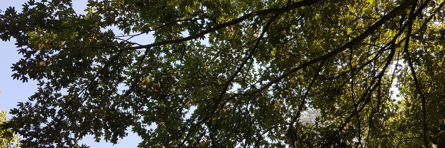 wildmindsuk's profile banner image