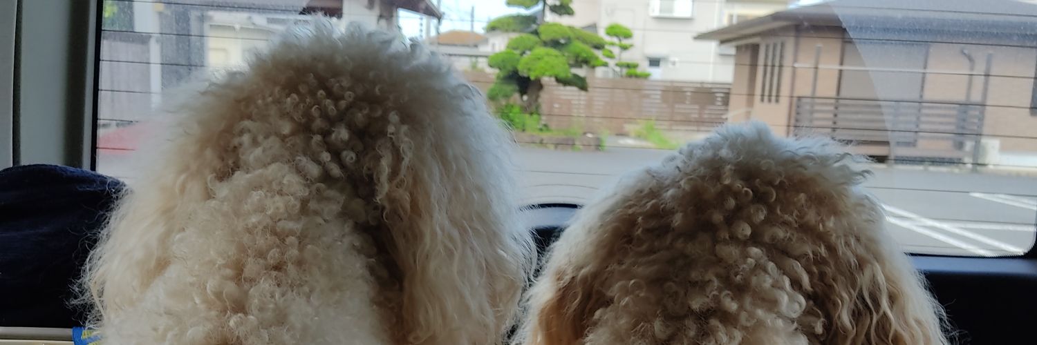 CoCo&Laran banner
