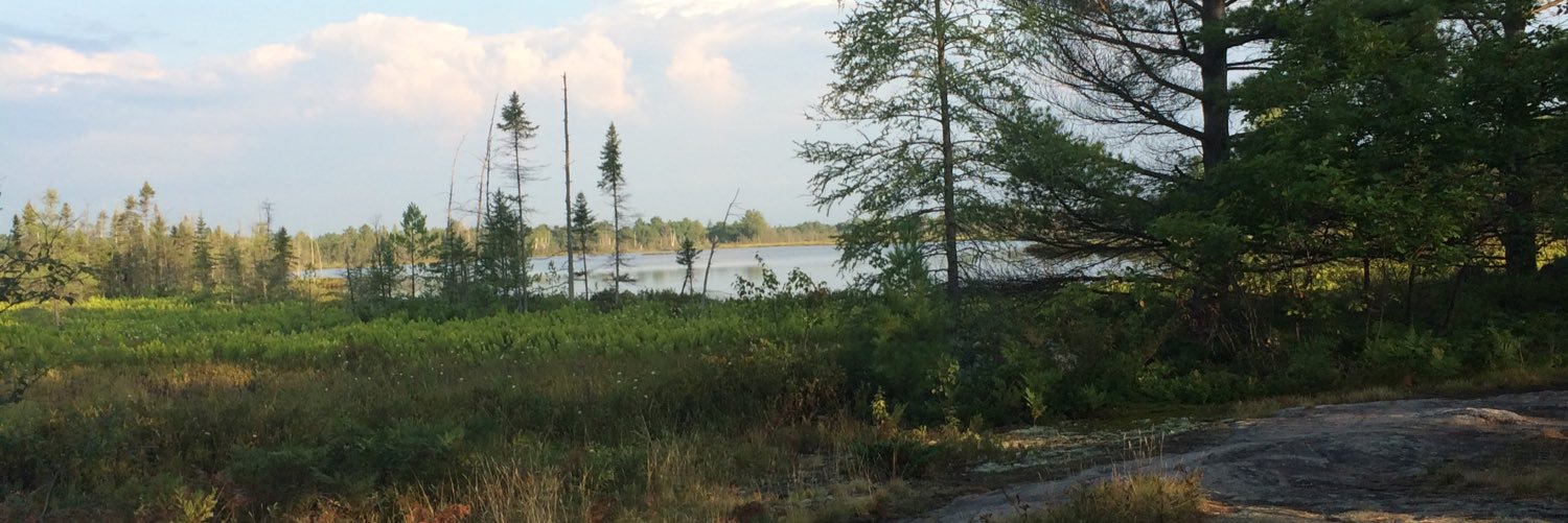 MuskokaYPO's profile banner image