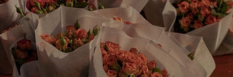 Oheying's profile banner image