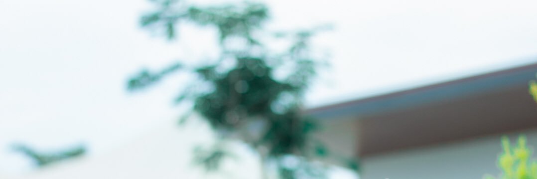 BernadettaInes's profile banner image