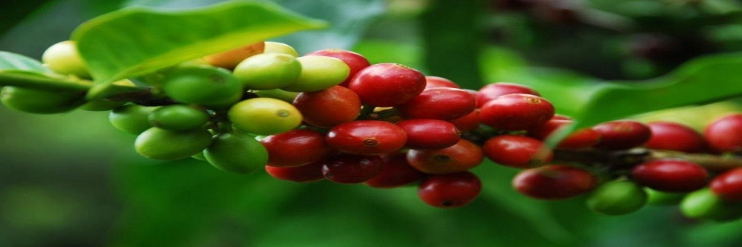 vendingcompromi's profile banner image