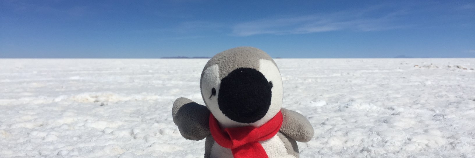 Daniela Petti banner