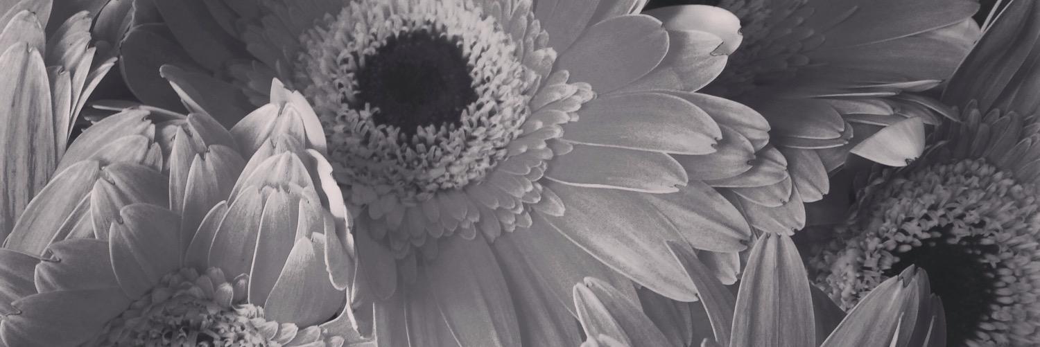 EmilyCascarino's profile banner image