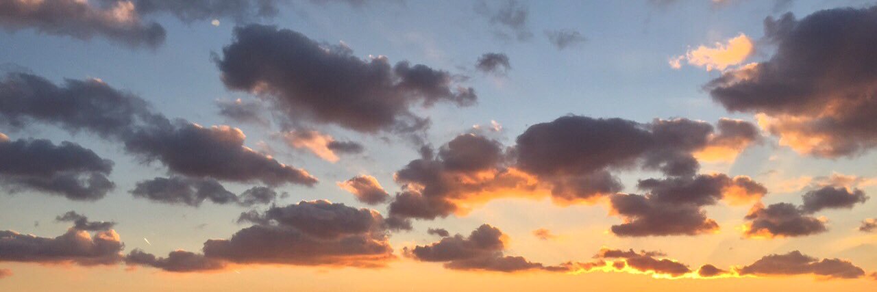 NicoleShea9's profile banner image